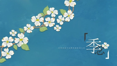 自然洗脸巾品牌营销策划方案