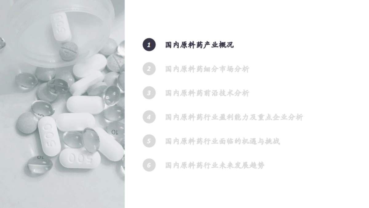 2023原料药产业白皮书-药融云_第2页