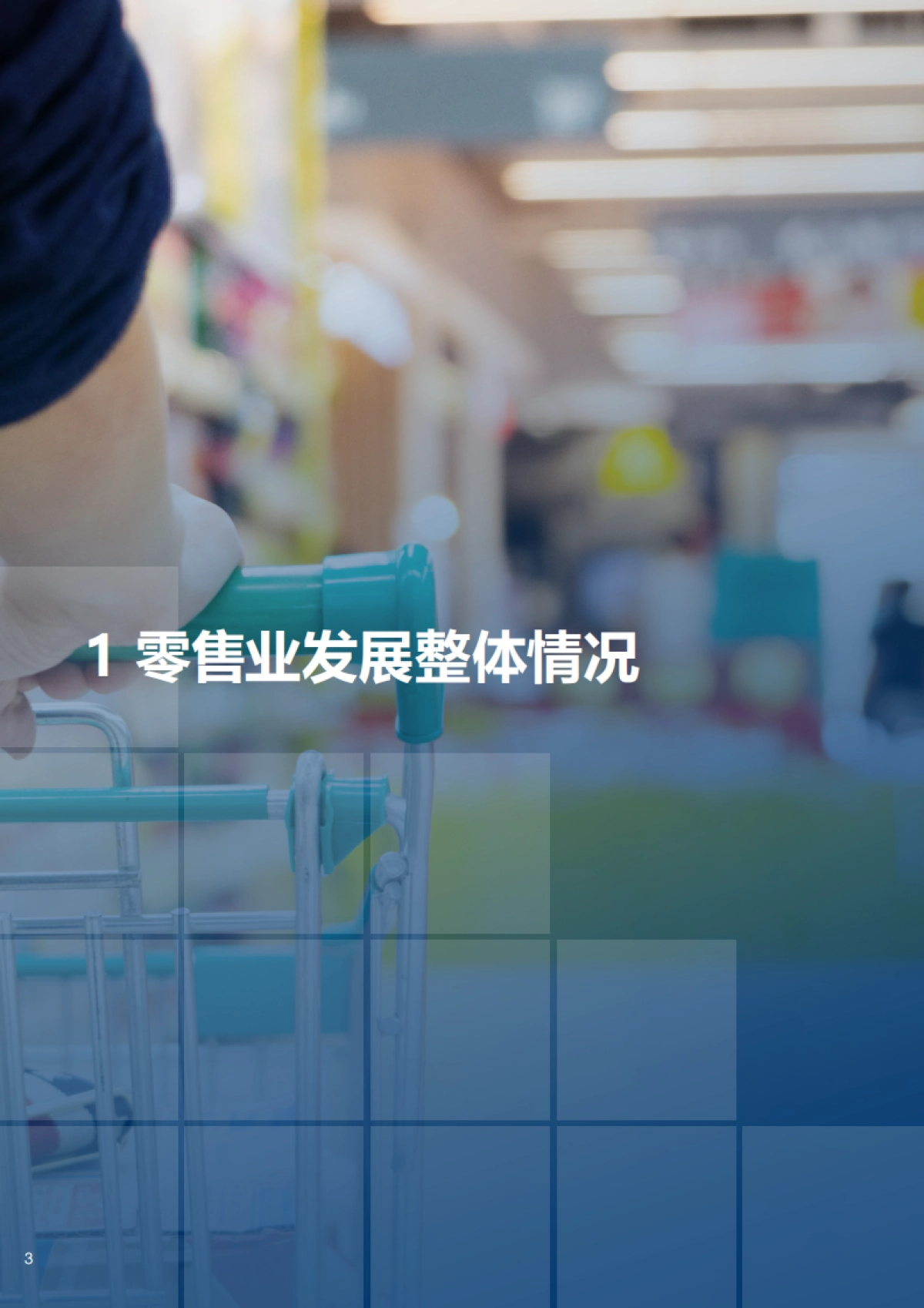 2024-2025年中国百货零售业发展报告-中国百货商业协会_第4页
