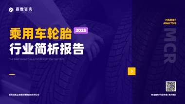 2025年乘用车轮胎行业简析报告-嘉世咨询