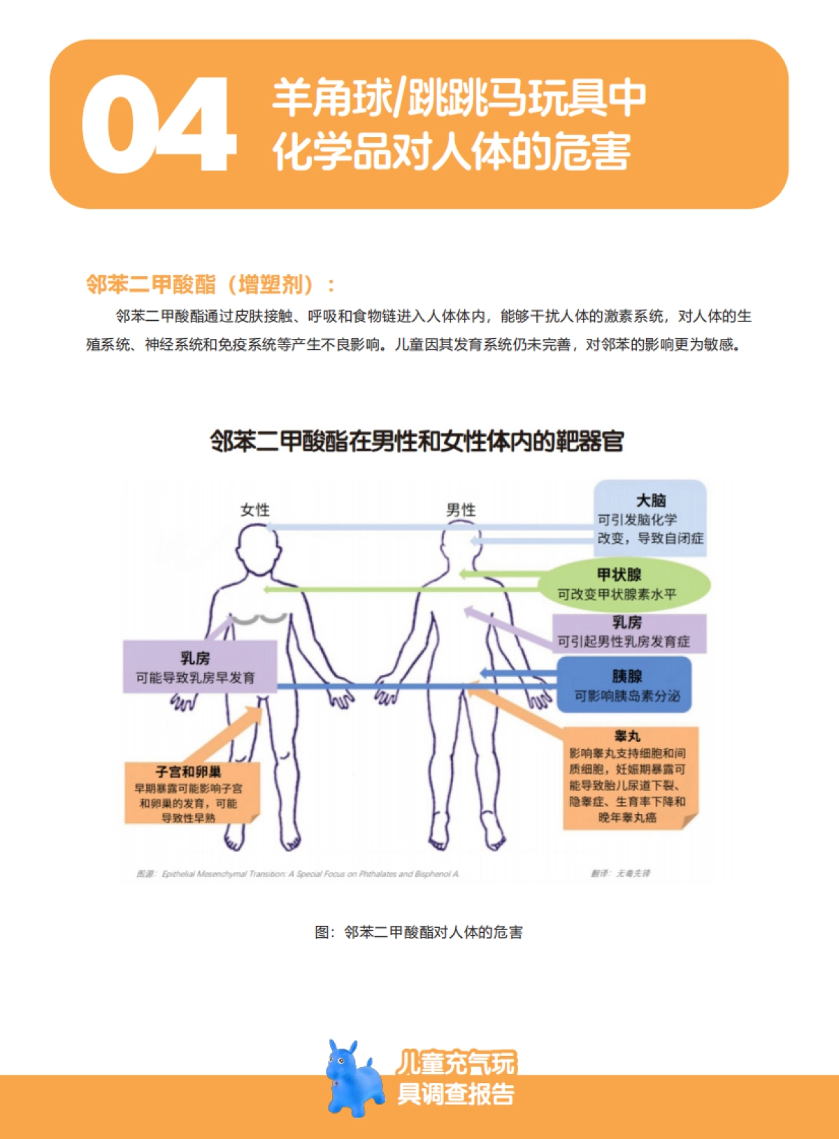 2025年儿童充气玩具调查报告(跳跳马&羊角球)-无毒先锋_第6页