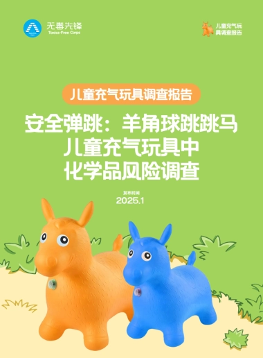 2025年儿童充气玩具调查报告（跳跳马&羊角球）-无毒先锋