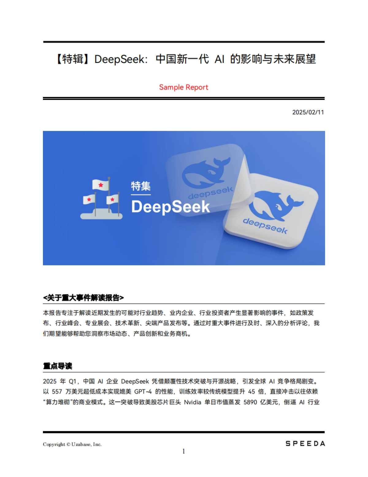 DeepSeek：中国新一代AI的影响与未来展望_第1页