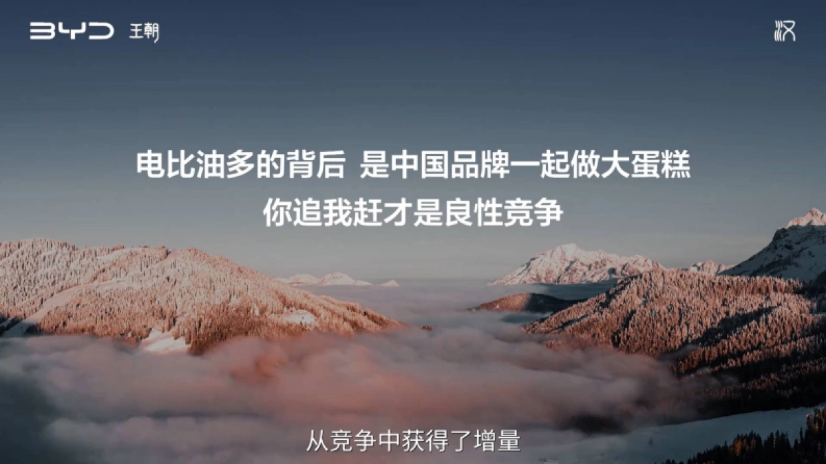 国产新能源汽车品牌2025款新车上市超级发布会【汽车】【新车上市】_第4页