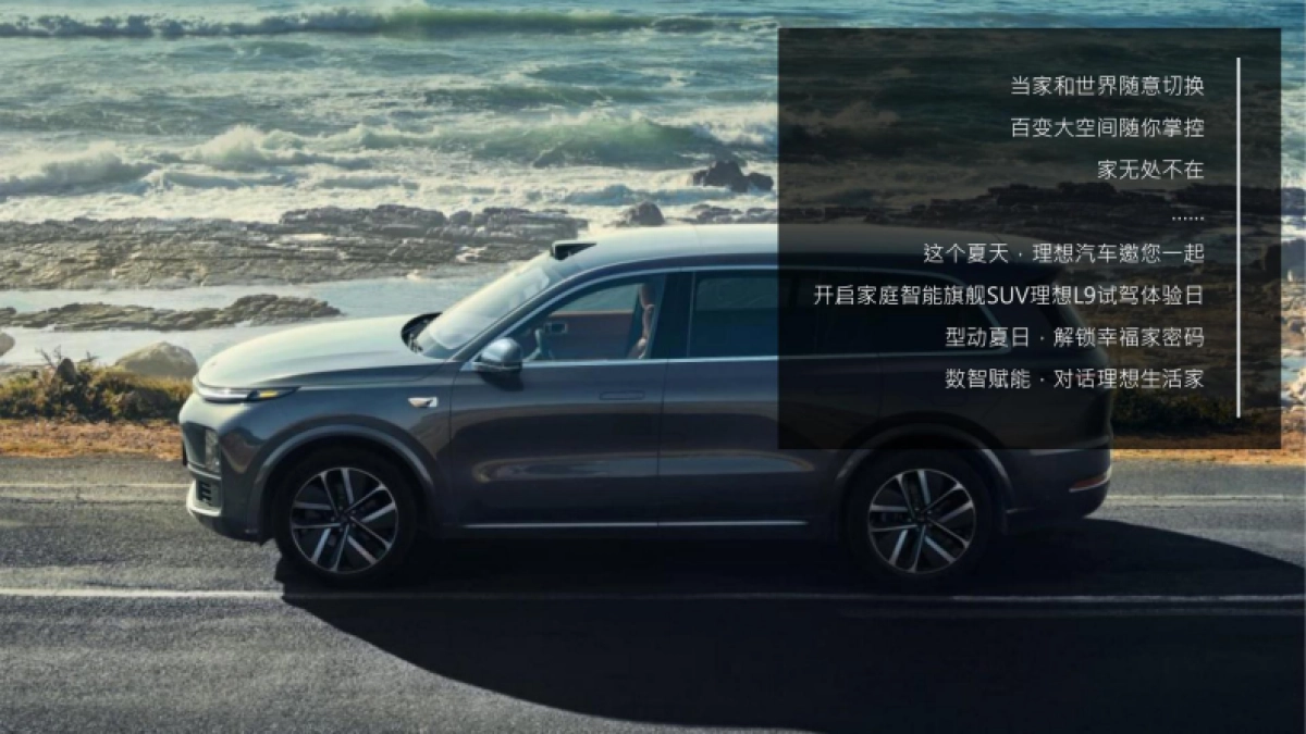 国产新能源汽车品牌新车型试驾会活动策划方案【汽车】【试驾活动策划】_第5页