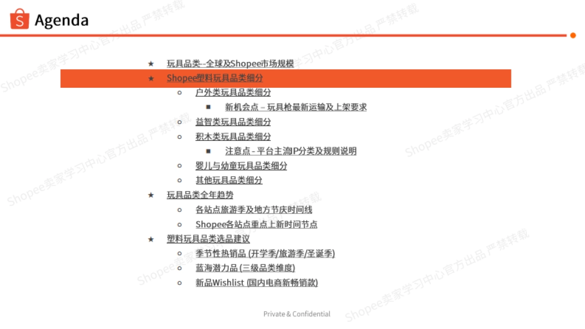 塑料玩具商机指南报告(2024-2025年)-Shopee_第5页