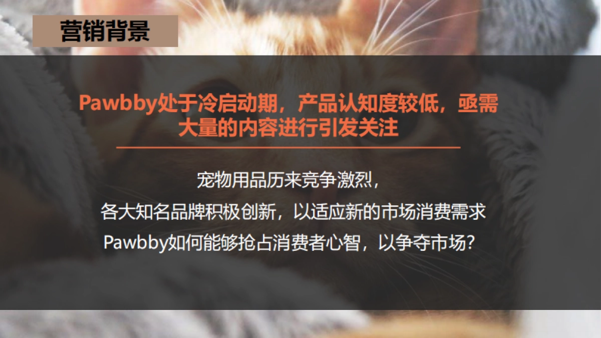 新媒体运营Pawbby内容营销全案方案_第2页
