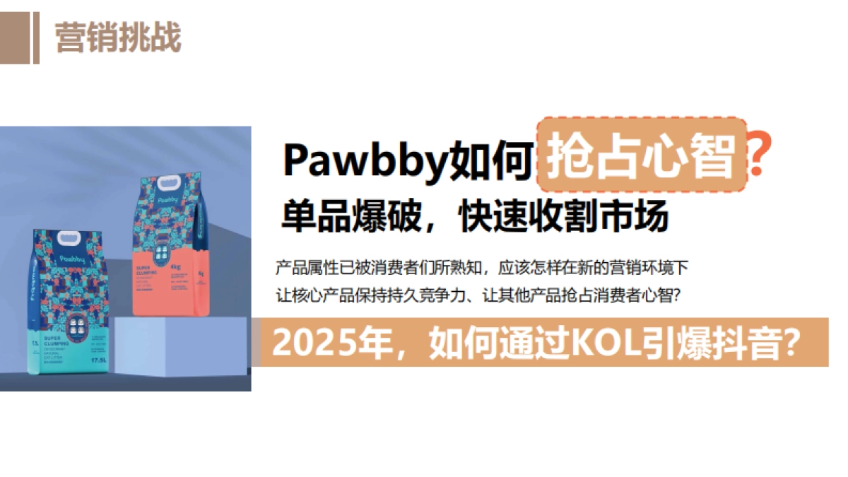 新媒体运营Pawbby内容营销全案方案_第5页