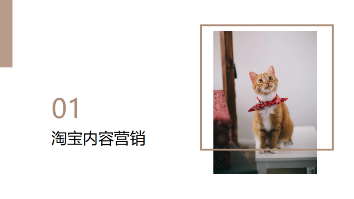 新媒体运营Pawbby内容营销全案方案_第7页