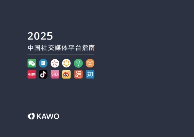 2025年中国社交媒体平台指南报告