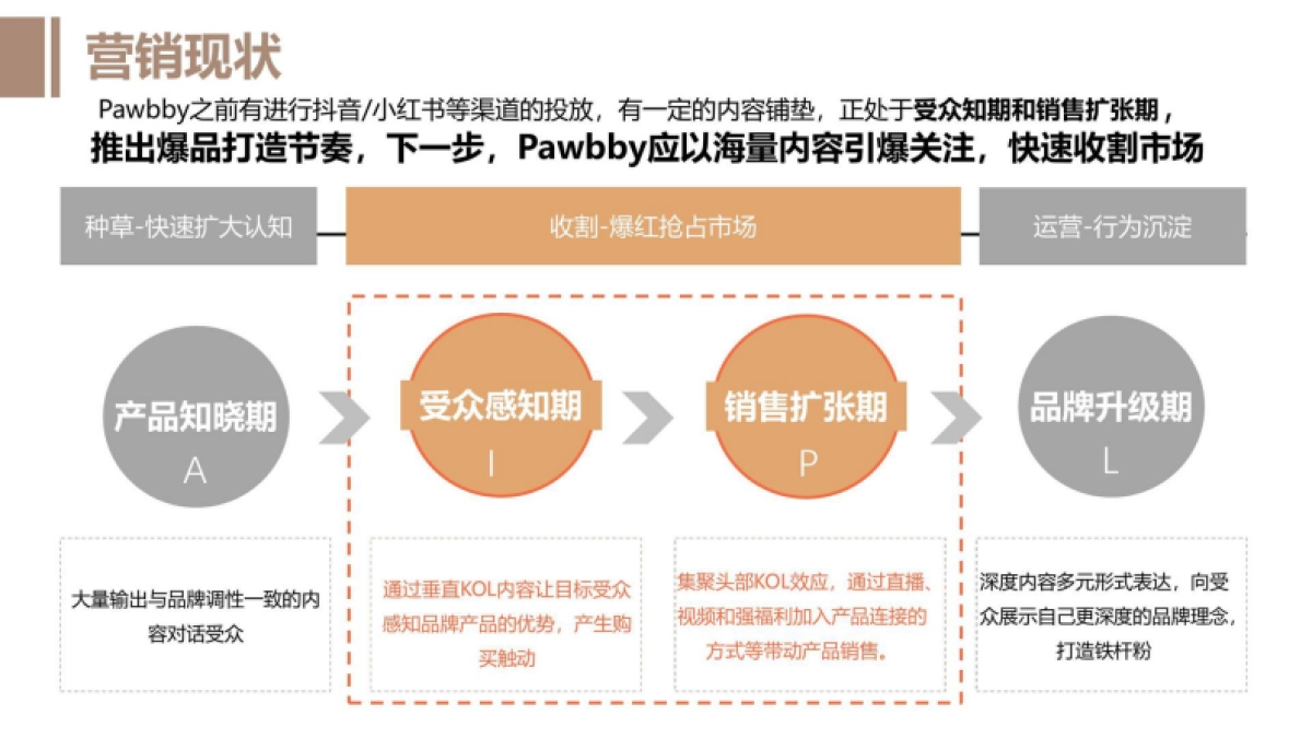 Pawbby猫粮内容营销全案方案猫砂_第4页