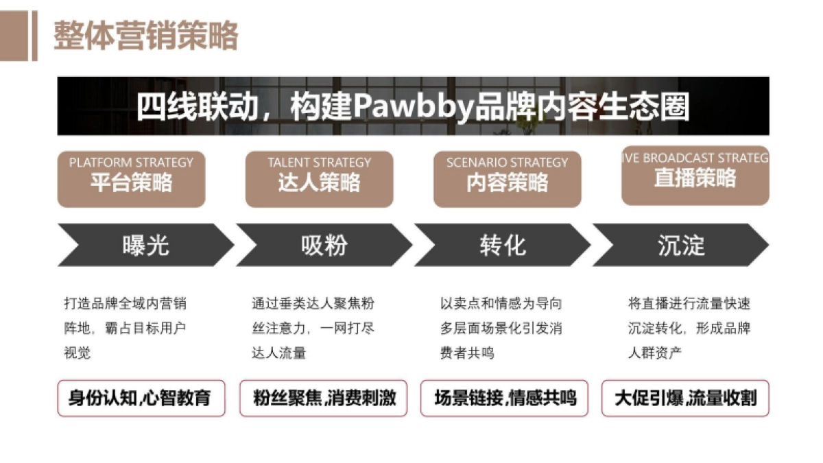 Pawbby猫粮内容营销全案方案猫砂_第6页