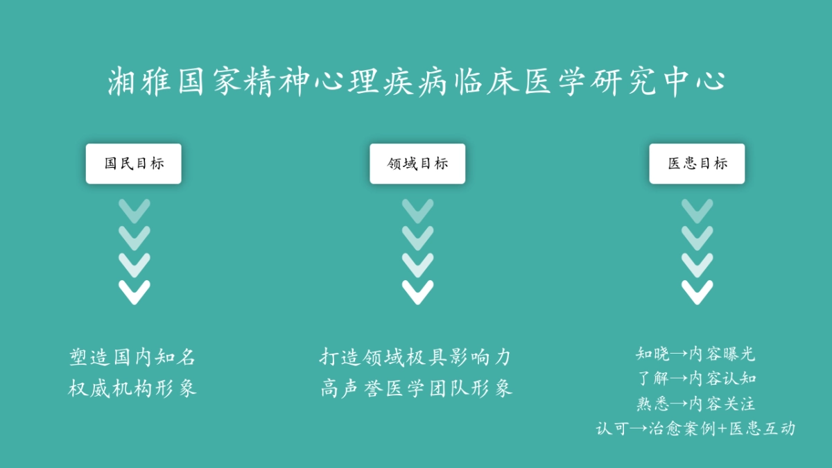 2024湘雅二医院精神科短视频运营规划案_第2页