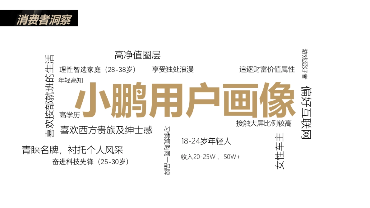 小鹏P7汽车上市social传播方案_第10页