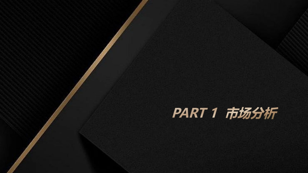 小鹏P7汽车上市social传播方案_第4页