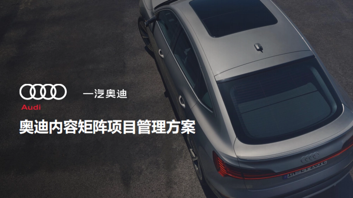 2025-奥迪汽车内容矩阵项目管理方案_第1页