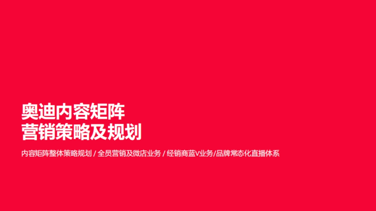 2025-奥迪汽车内容矩阵项目管理方案_第4页