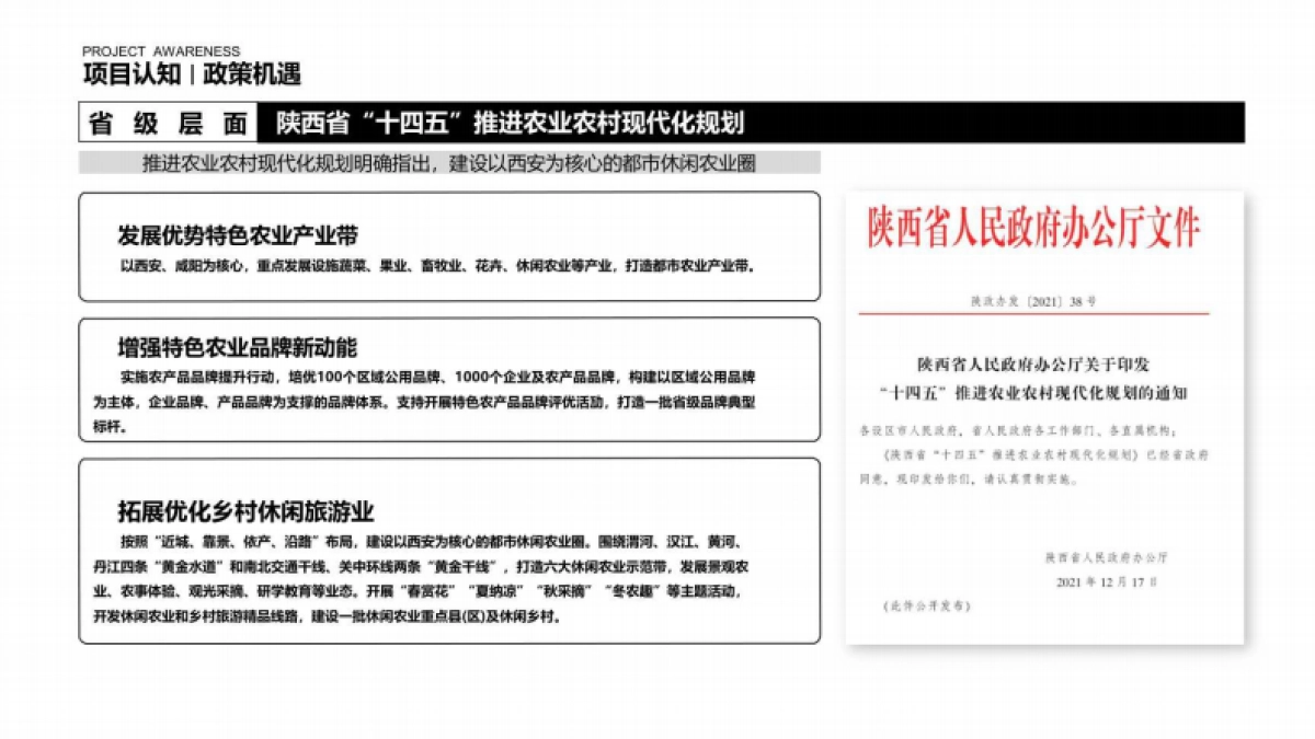 2025番茄农场品牌项目运营策划全案_第6页