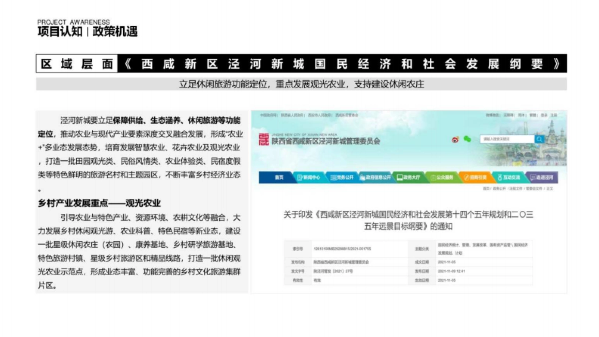 2025番茄农场品牌项目运营策划全案_第7页