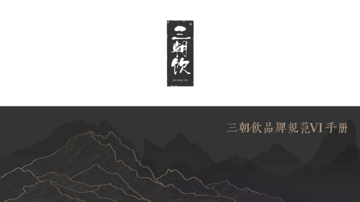 2025三朝饮白酒品牌全案_第3页