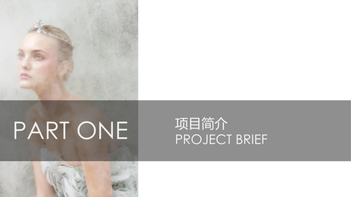 2025仙都拉发布会策划方案_第3页