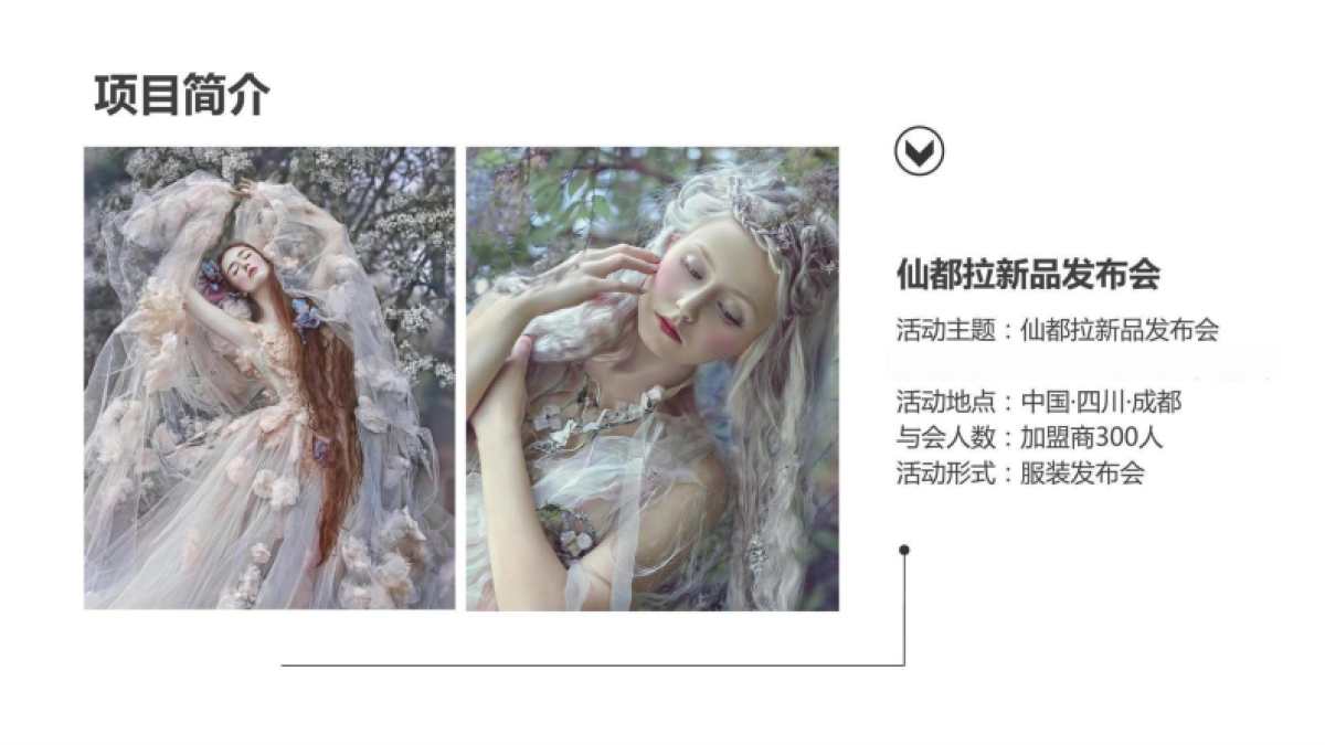 2025仙都拉发布会策划方案_第4页