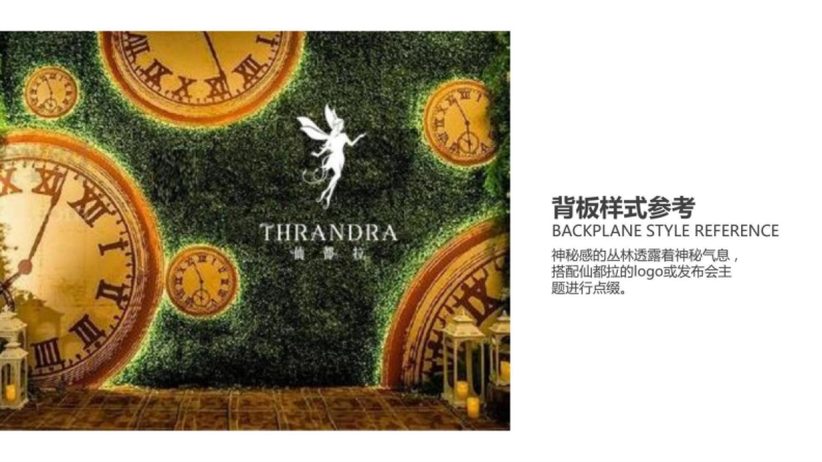 2025仙都拉发布会策划方案_第8页