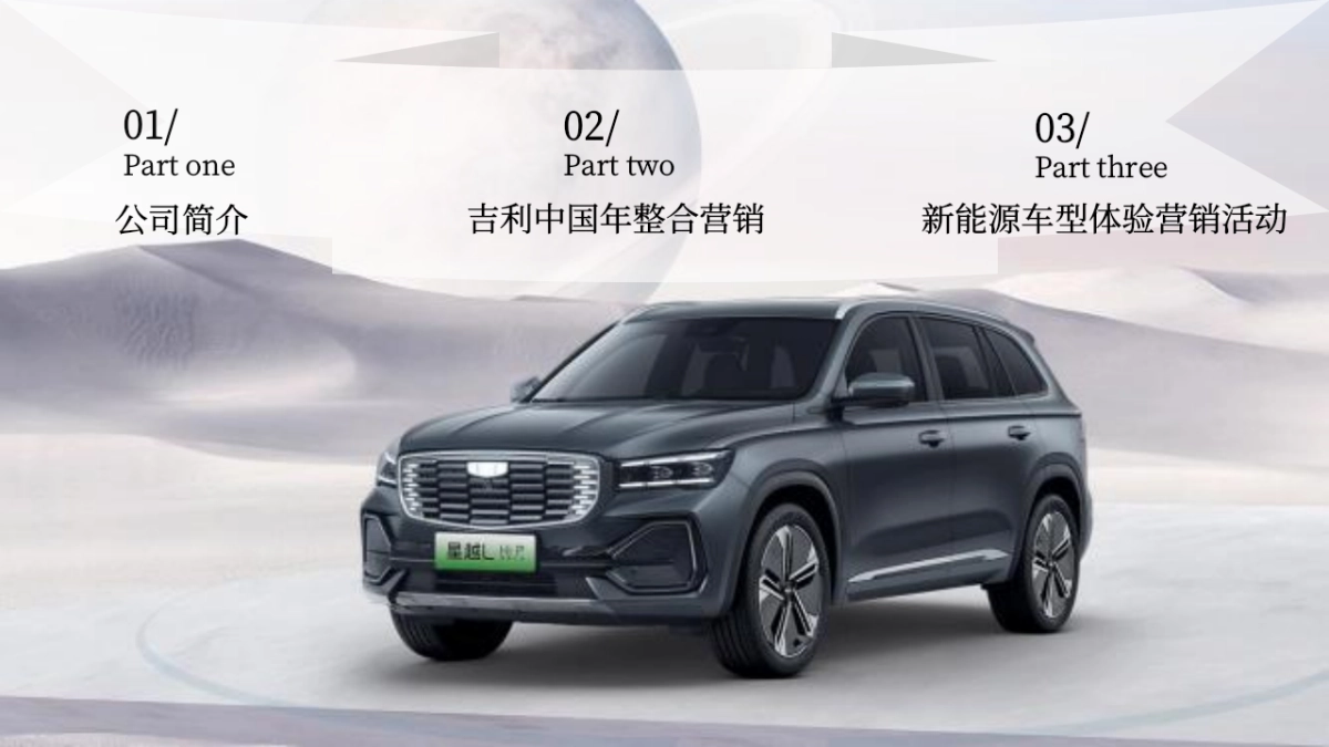 2024吉利品牌区域代理公司招标第一标段_第2页