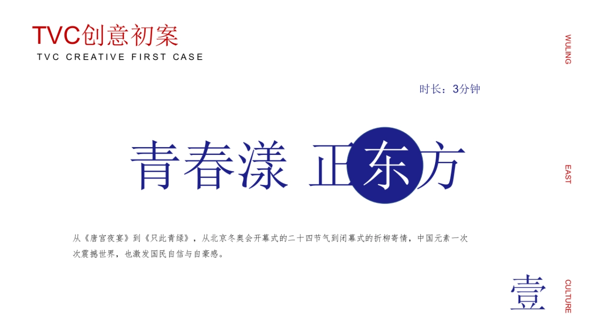 2024五菱星辰汽车TVC创意初案_第4页