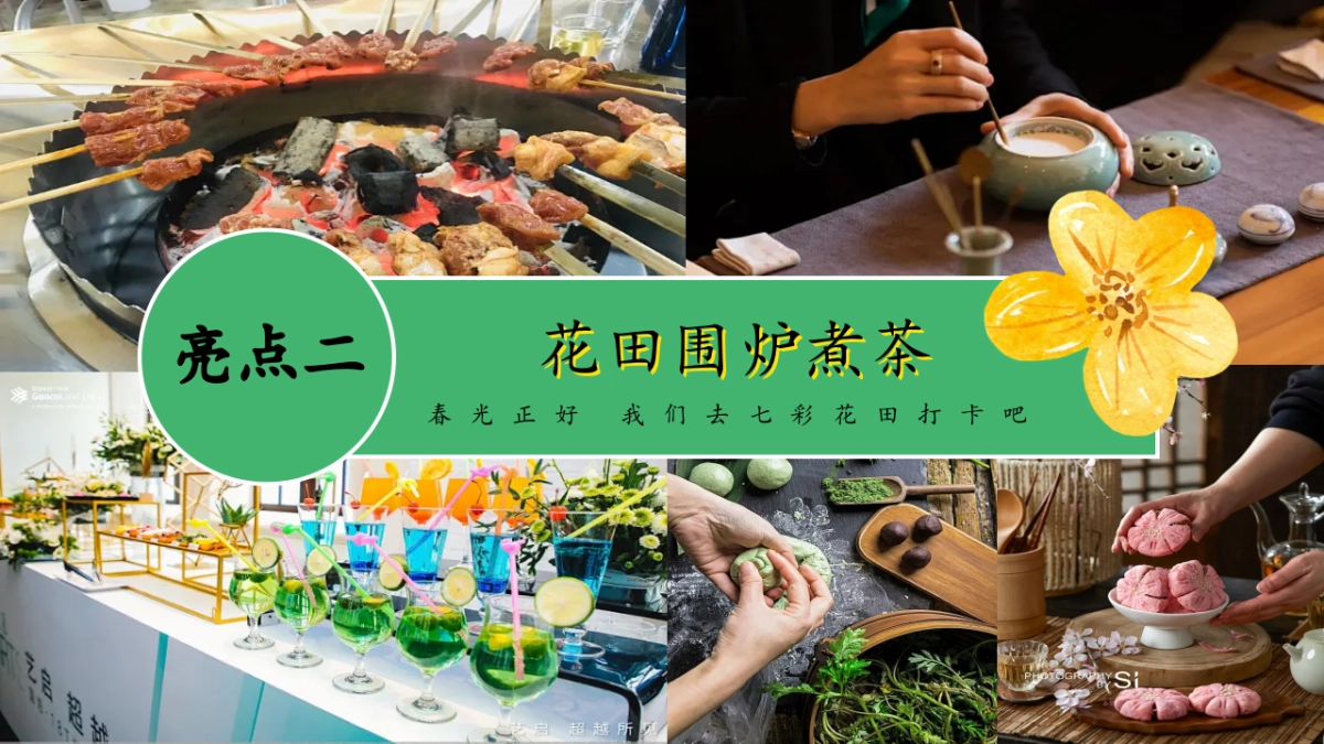 2025文旅景区春日油菜花游园「与春天共舞 与自然共生主题」活动策划方案_第10页