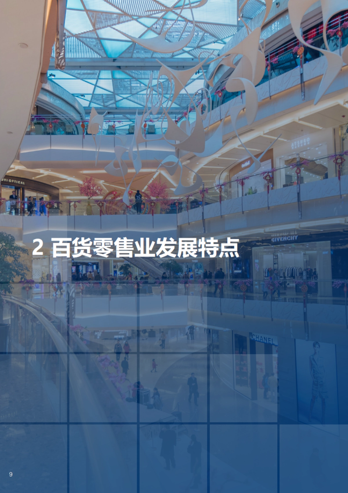 2024-2025年中国百货零售业发展报告_第10页