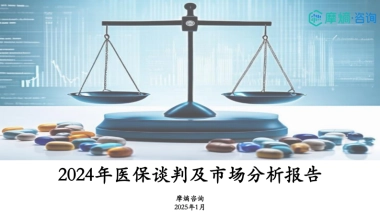 2024年医保谈判及市场分析报告-摩熵咨询