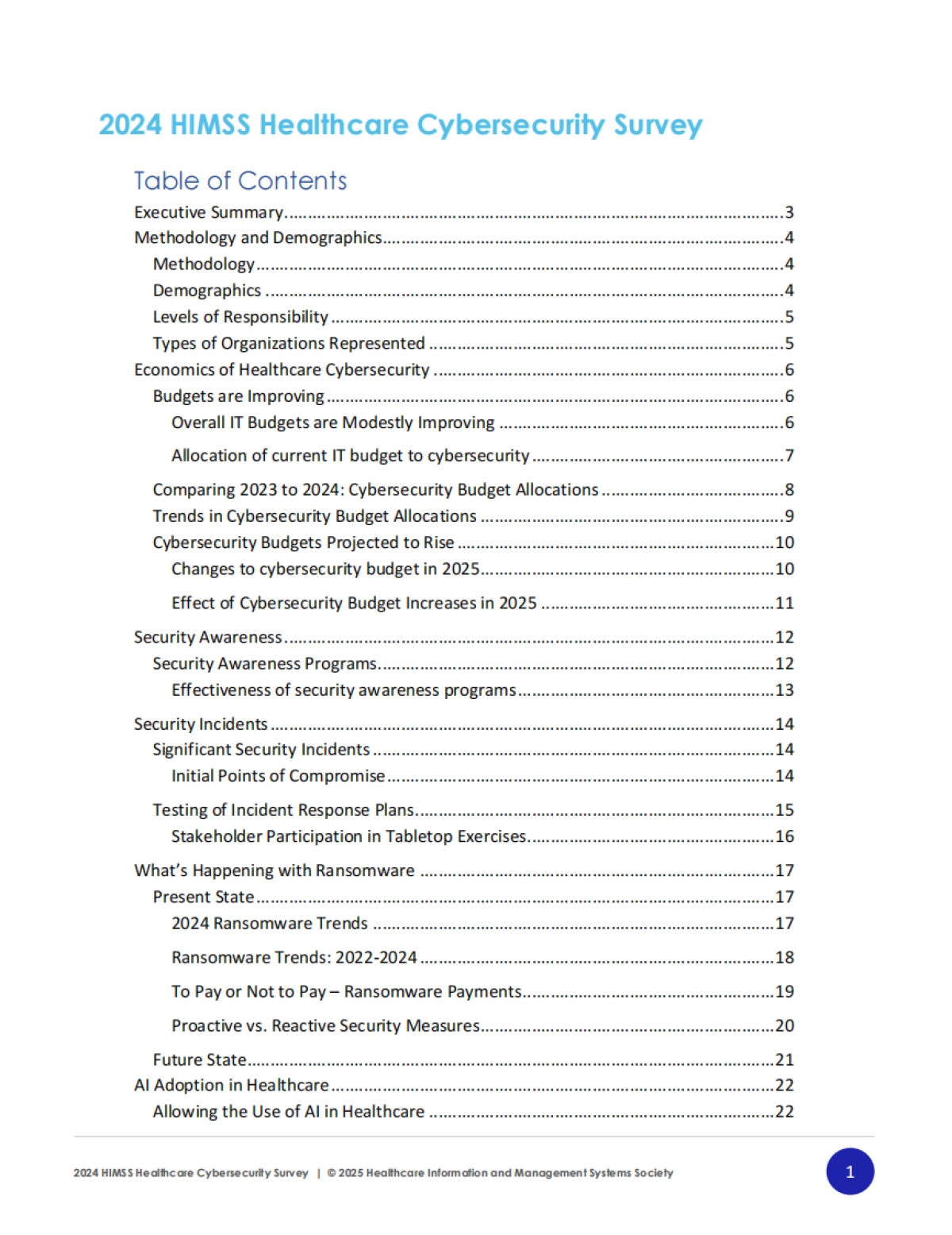 2024年医疗保健行业网络安全调查_第2页