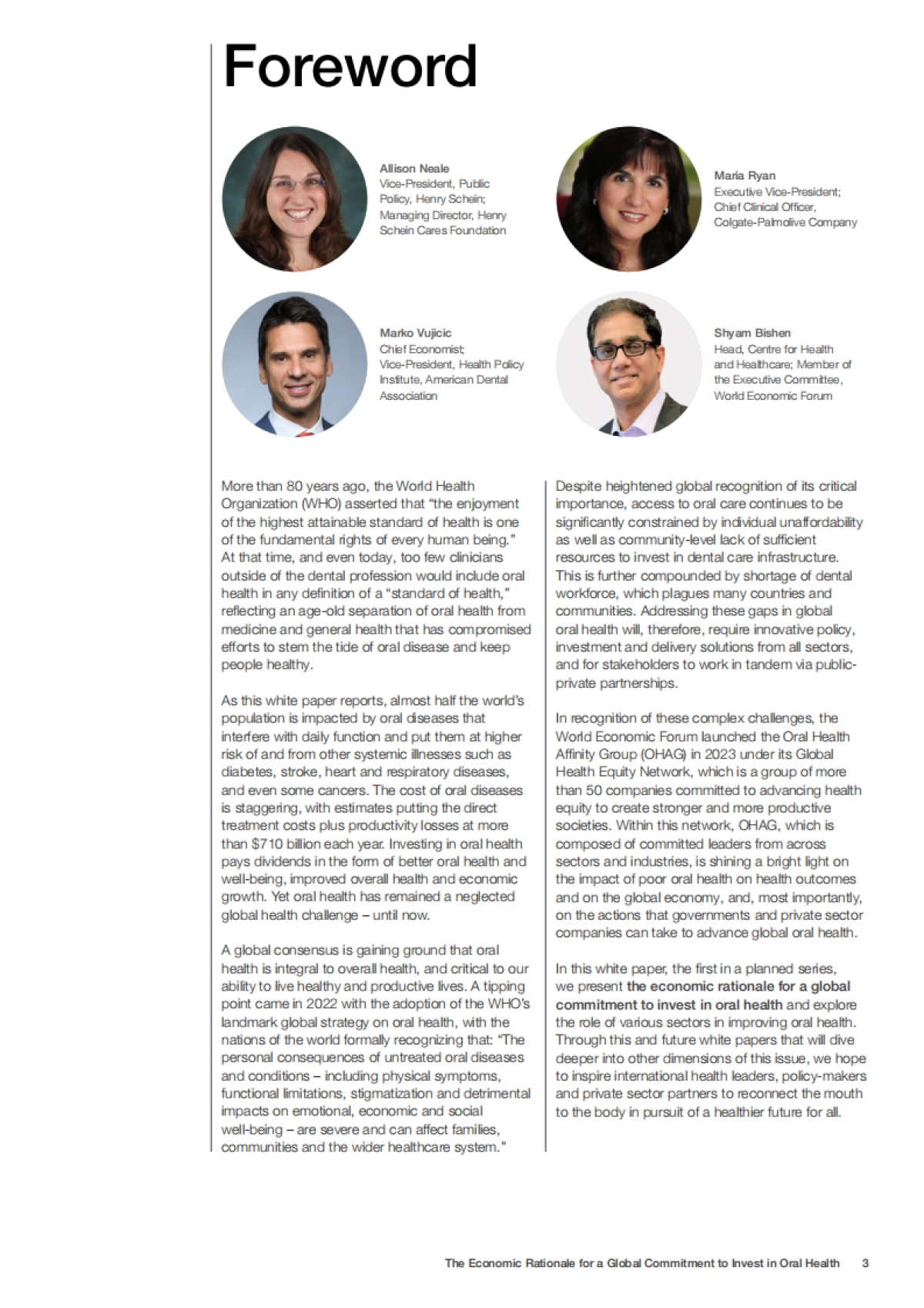 2024投资口腔健康全球承诺的经济合理性_第3页