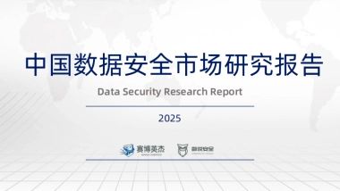 2025年数据安全市场研究报告-数说安全