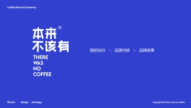 2024本来不该有品牌手册