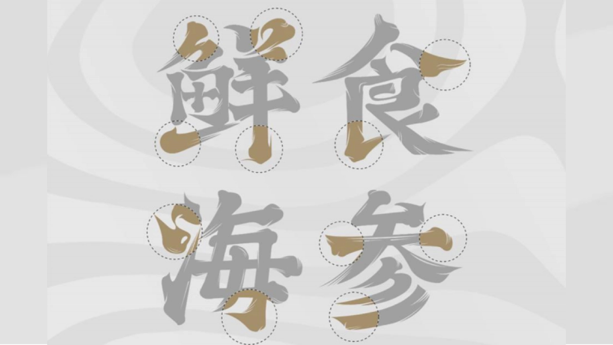 2024辰妈家鲜食海参单品包装设计_第10页