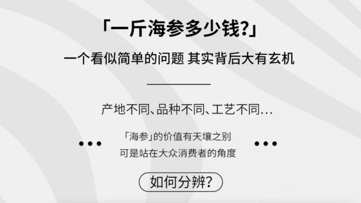 2024辰妈家鲜食海参单品包装设计_第2页