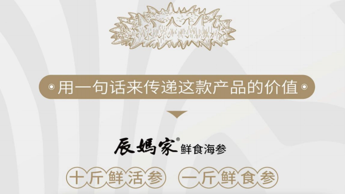 2024辰妈家鲜食海参单品包装设计_第3页