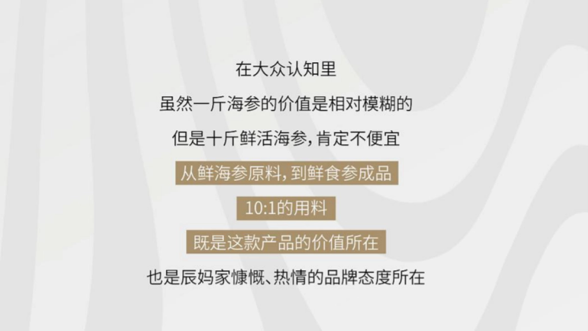 2024辰妈家鲜食海参单品包装设计_第5页