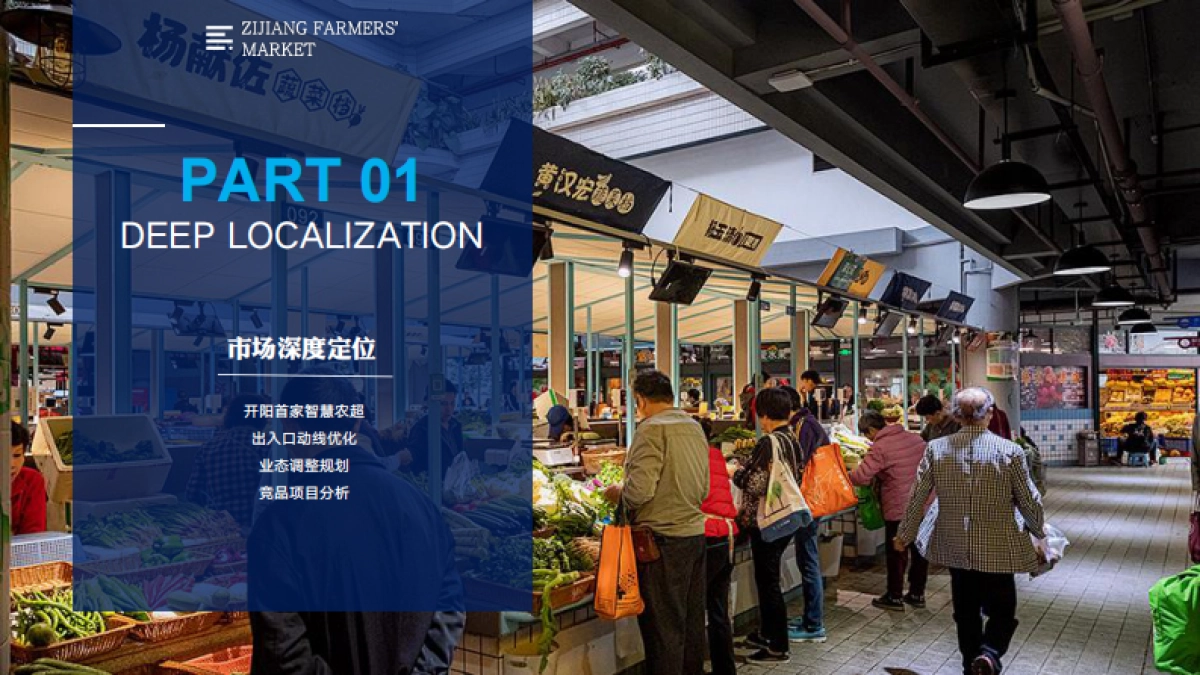 2024紫江农贸市场项目定位运营商铺升值商业计划书_第3页