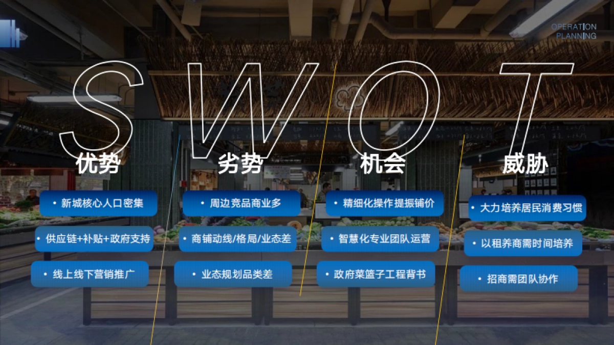 2024紫江农贸市场项目定位运营商铺升值商业计划书_第4页