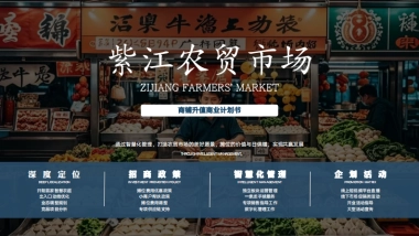 2024紫江农贸市场项目定位运营商铺升值商业计划书
