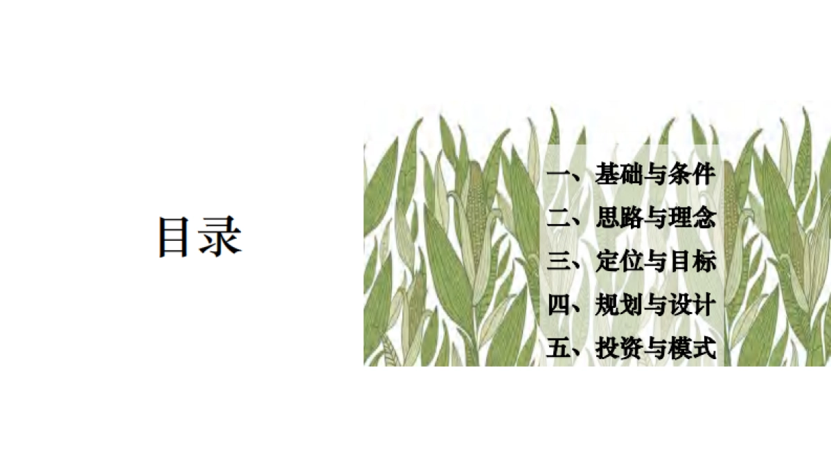 2025「中华玉米园」玉米主题乡村振兴田园综合体规划景观设计方案-_第2页