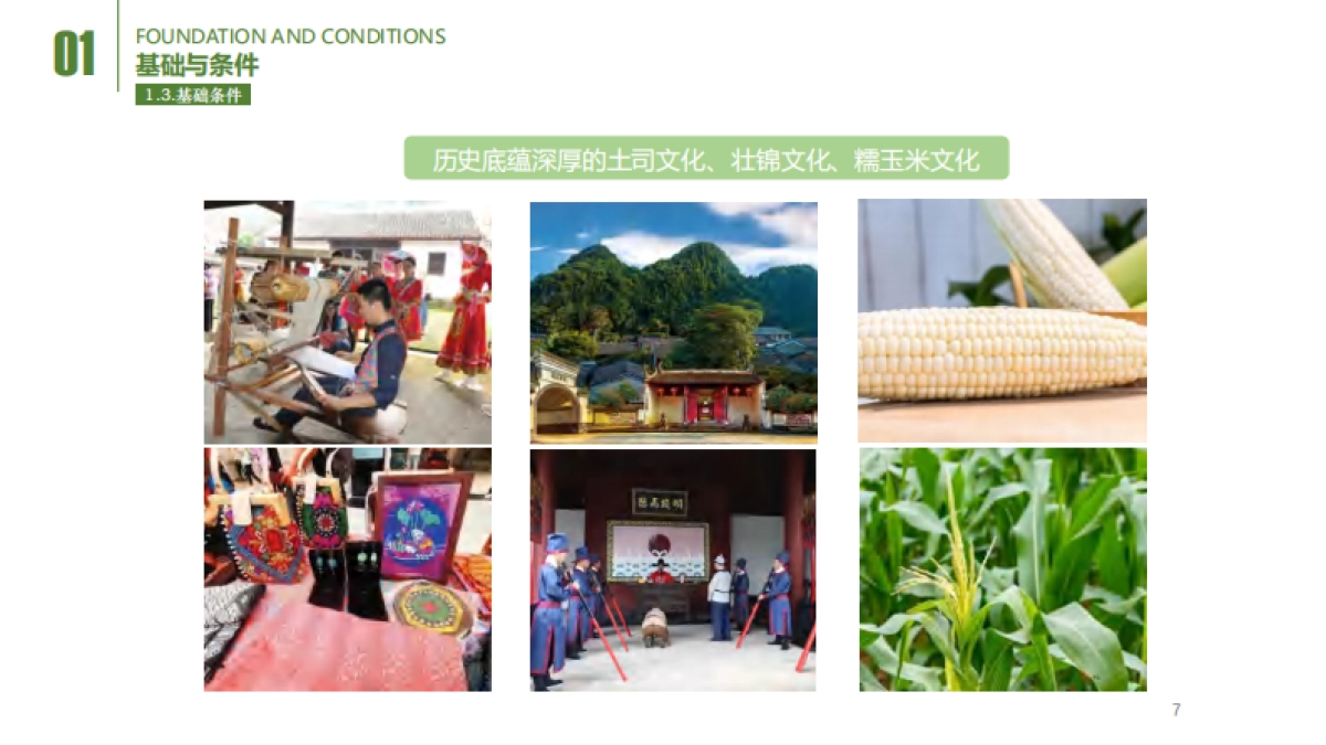 2025「中华玉米园」玉米主题乡村振兴田园综合体规划景观设计方案-_第7页