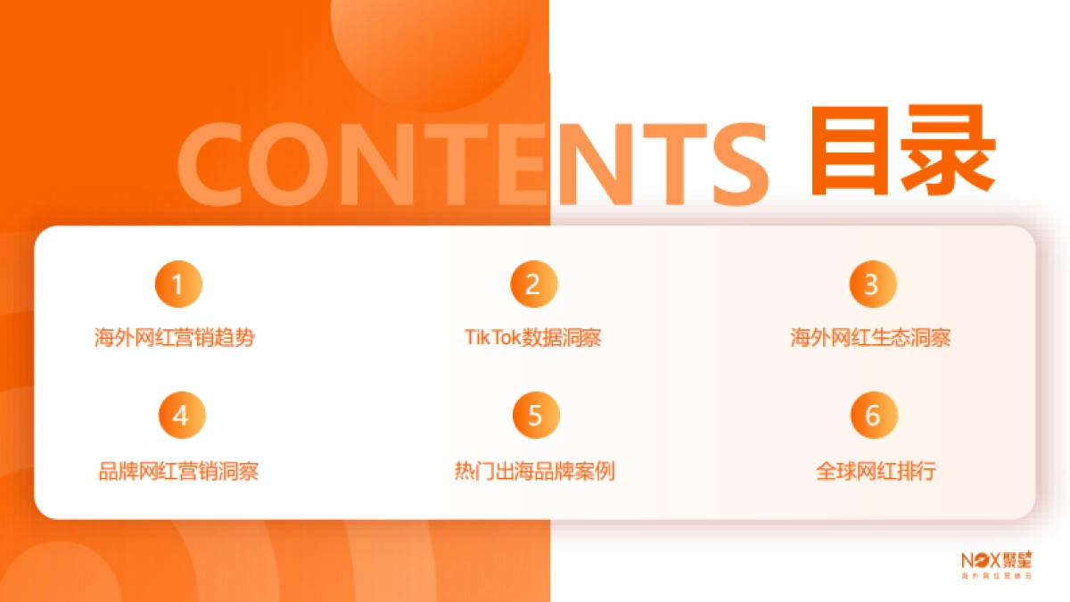 2025海外网红营销生态报告_第6页