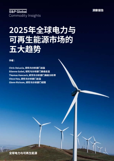 2025年全球电力与可再生能源市场的五大趋势报告