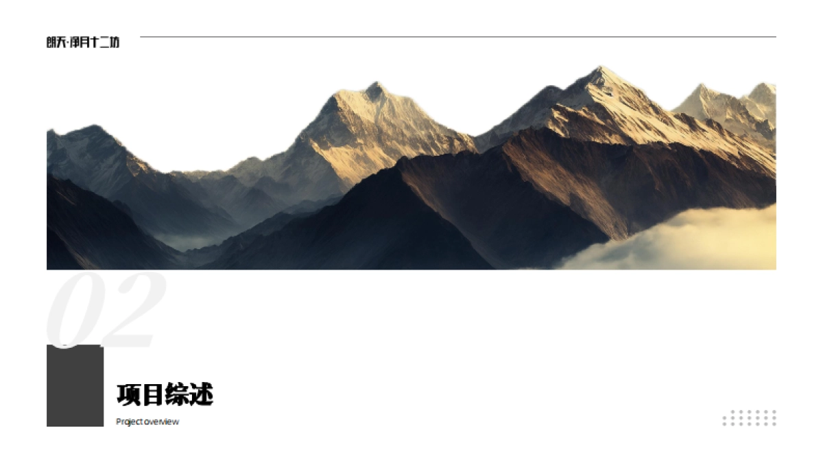 2025长春朗天Mall商业文旅项目计划书_第10页