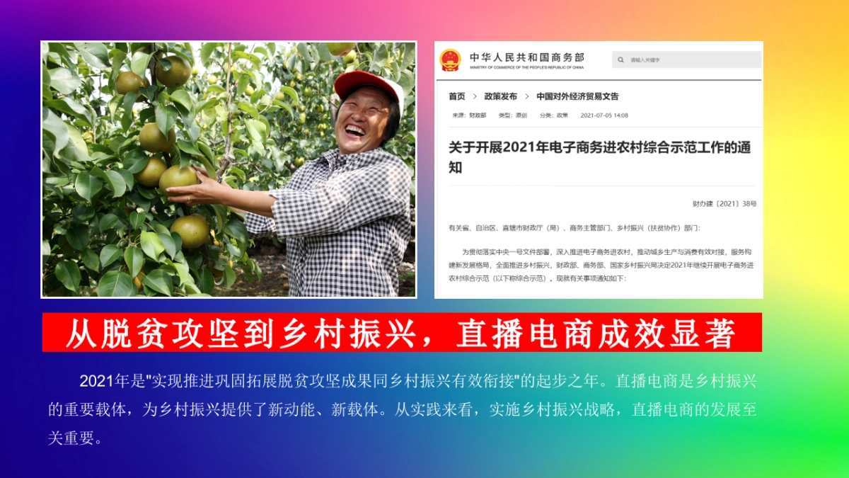 2024贵州乡村振兴直播电商节策划书_第5页