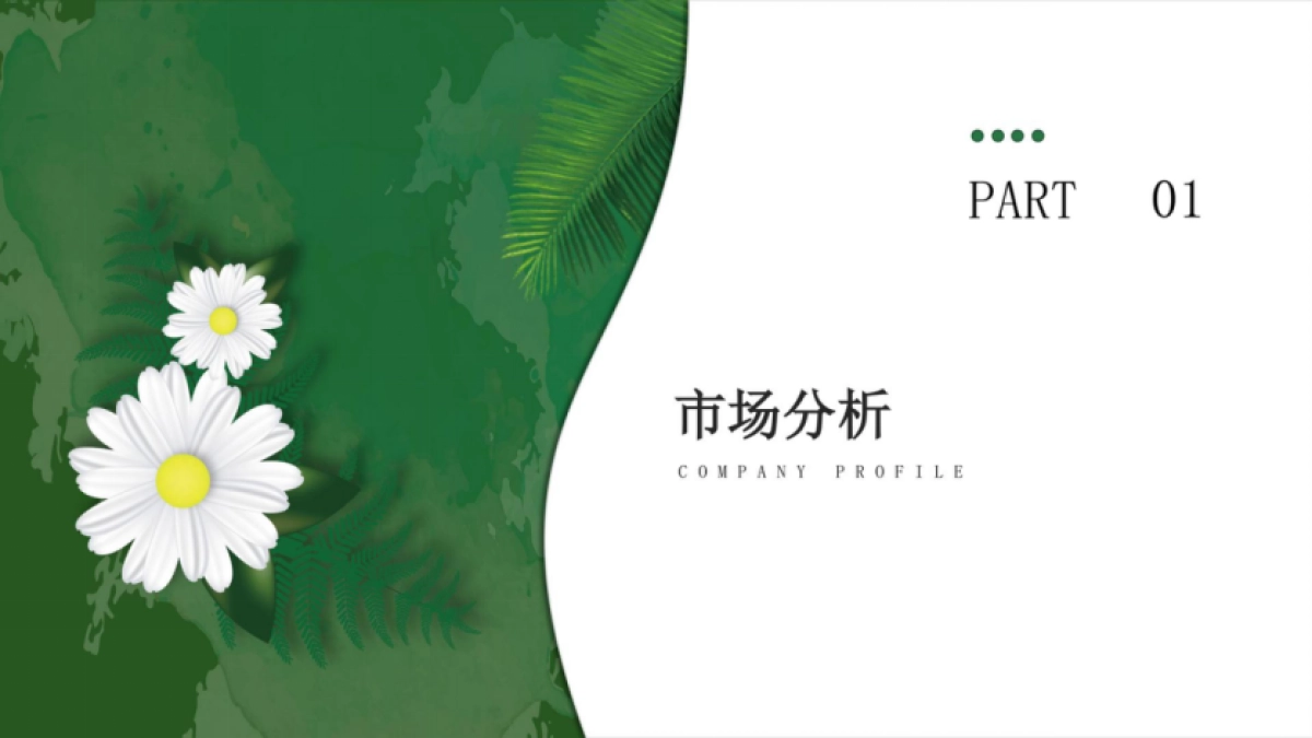 2024简露精油品牌项目抖音账号内容直播营销方案_第3页